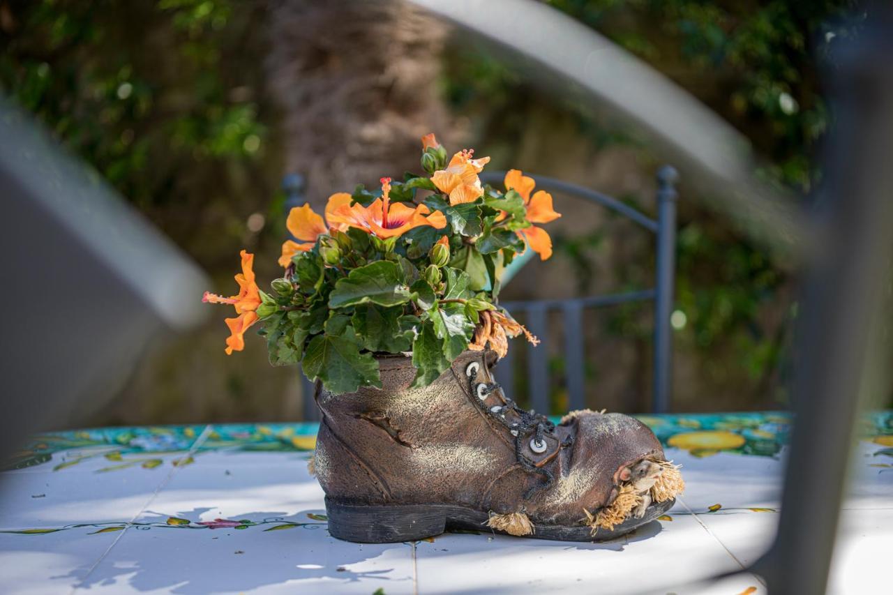 Casa Beatrice Bed and Breakfast Sorrento Buitenkant foto